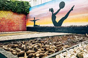 Physiotherapie Neumann Innenhof